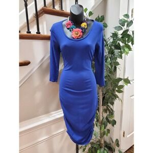 Express Women's Blue Cotton Round Neck Long Sleeve Bodycon Knee Length Dress S/P